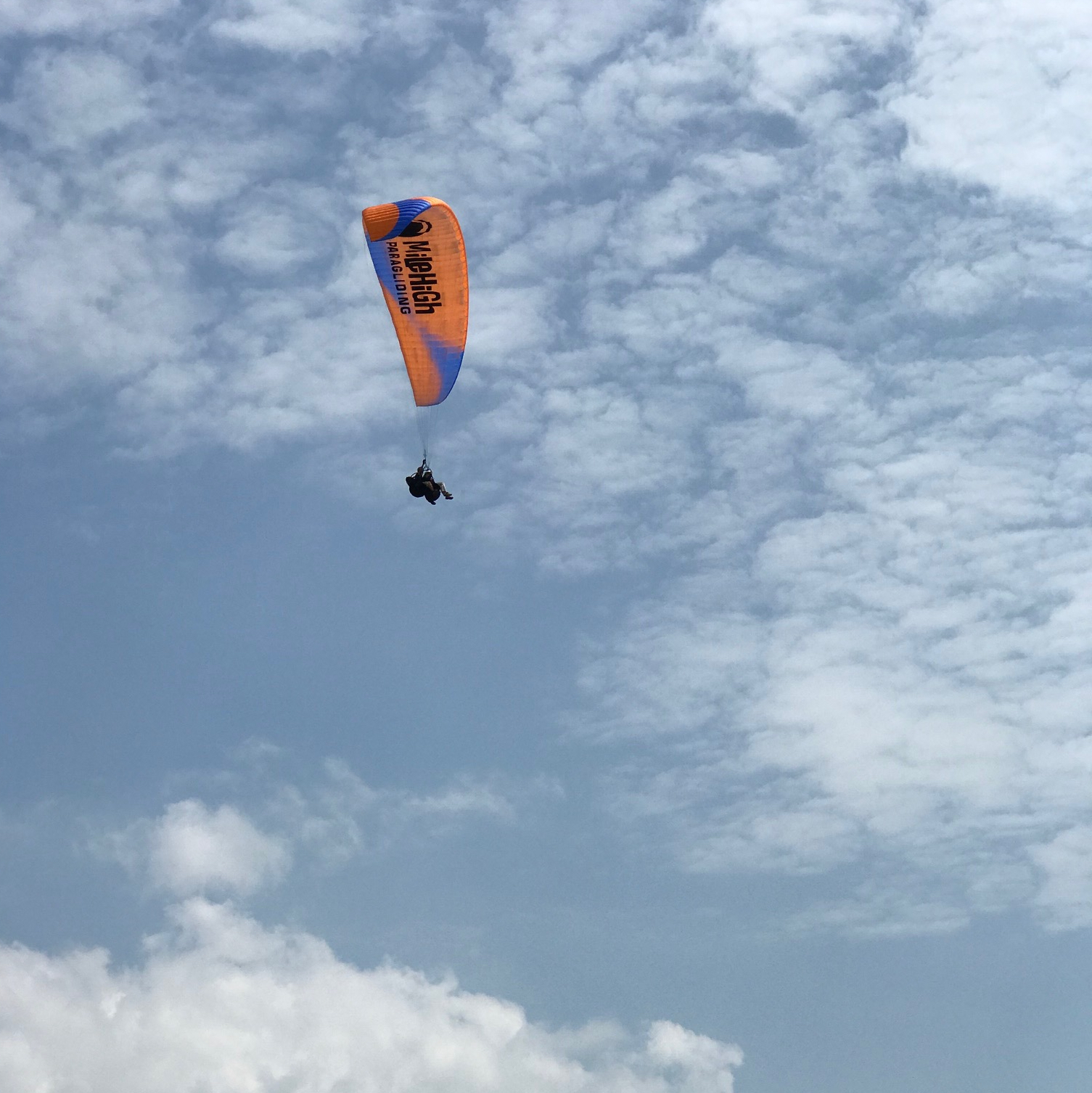 Tandem paragliding at Newhaven on the Sussex coast with Mile High Paragliding