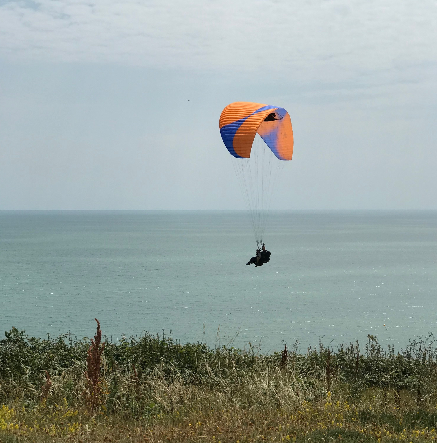 Fly like a bird in Sussex on a day out from London with Mile High Paragliding